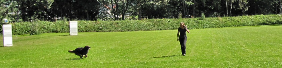 header (1)
